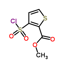 cas no 59337-92-7 is Methyl 3-chlorosulfonylthiophene-2-carboxylate