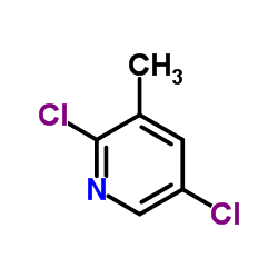 cas no 59782-88-6 is 2,5-Dichoro-3-picoline