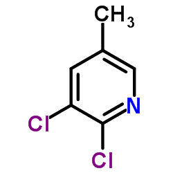 cas no 59782-90-0 is 2,5-Dichoro-3-picoline