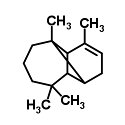 cas no 5989-08-2 is alpha-longipinene