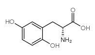 cas no 60594-70-9 is (R)-2-AMINO-3-(2,5-DIHYDROXYPHENYL)PROPANOIC ACID