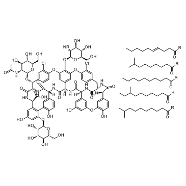 cas no 61036-62-2 is Teicoplanin