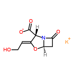 cas no 61177-45-5 is Clavulanate potassium