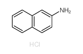 cas no 612-52-2 is 2-Naphthalenamine,hydrochloride (1:1)