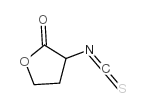 cas no 61315-63-7 is 4-HYDROXY-3-ISOTHIOCYANATOBUTYRIC ACID LACTONE