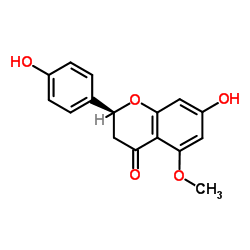 cas no 61775-19-7 is 5-O-Methylnaringenin