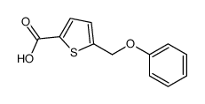cas no 61855-05-8 is 5-(phenoxymethyl)thiophene-2-carboxylic acid