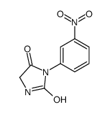 cas no 62101-56-8 is 3-(3-nitrophenyl)imidazolidine-2,4-dione