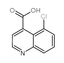 cas no 62482-32-0 is 5-chloroquinoline-4-carboxylic acid