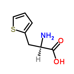 cas no 62561-76-6 is 3-(2-Thienyl)-L-alanine