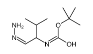 cas no 625839-47-6 is Carbamic acid, [1-(aminoiminomethyl)-2-methylpropyl]-, 1,1-dimethylethyl ester