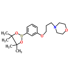 cas no 626-61-9 is 4-chloropyridine