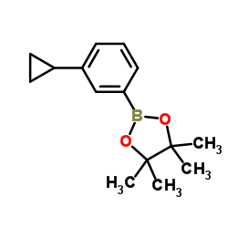 cas no 627526-56-1 is 2-(3-CYCLOPROPYLPHENYL)-4,4,5,5-TETRAMETHYL-[1,3,2]DIOXABOROLANE