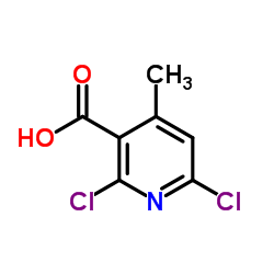 cas no 62774-90-7 is 2,6-Dichloro-4-methyl-3-pyridinecarboxylic Acid