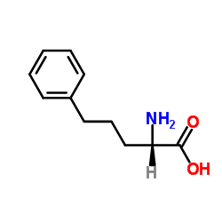 cas no 62777-25-7 is 5-Phenylnorvaline