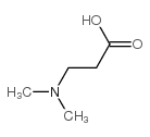 cas no 6300-04-5 is 3-(Dimethylamino)propanoicacid