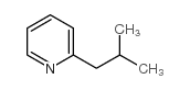 cas no 6304-24-1 is 2-Isobutylpyridine