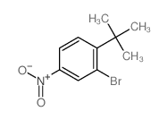 cas no 6310-17-4 is 2-bromo-1-(tert-butyl)-4-nitrobenzene
