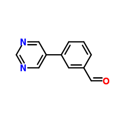 cas no 640769-70-6 is 3-(Pyrimidin-5-yl)benzaldehyde