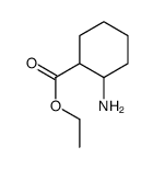 cas no 64162-07-8 is ETHYL2-AMINOCYCLOHEXANECARBOXYLATE