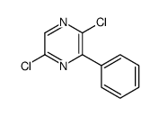cas no 64163-09-3 is 2,5-Dichloro-3-phenylpyrazine
