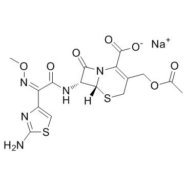 cas no 64485-93-4 is cefotaxime sodium