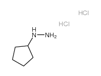 cas no 645372-27-6 is Cyclopentylhydrazine Dihydrochloride