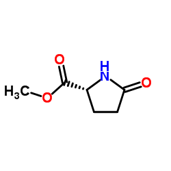 cas no 64700-65-8 is (R)-Methyl 5-oxopyrrolidine-2-carboxylate