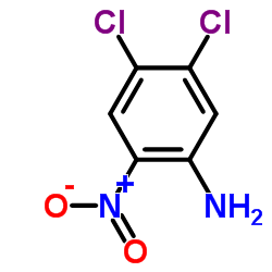 cas no 6641-64-1 is 3,4-Dichloro-6-nitroaniline
