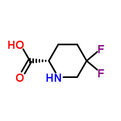 cas no 675605-32-0 is (2S)-5,5-difluoro-2-piperidinecarboxylic acid