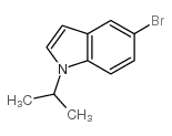 cas no 675827-10-8 is 5-BROMO-1-ISOPROPYL-1H-INDOLE