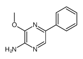 cas no 67602-06-6 is 3-methoxy-5-phenylpyrazin-2-amine