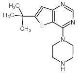 cas no 683274-69-3 is 6-t-butyl-4-piperazinothieno[3,2-d]pyrimidine