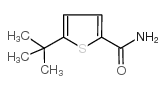 cas no 685120-65-4 is 5-tert-butylthiophene-2-carboxamide