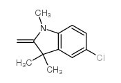cas no 6872-17-9 is 5-Chloro-2-methylene-1,3,3-trimethylindoline