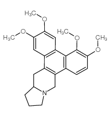 cas no 6879-02-3 is Dibenzo[f,h]pyrrolo[1,2-b]isoquinoline,9,11,12,13,13a,14-hexahydro-2,3,5,6-tetramethoxy-, (13aR)-