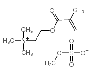 cas no 6891-44-7 is [2-(methacryloyloxy)ethyl]trimethylammonium methyl sulphate