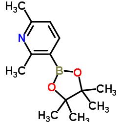 cas no 693774-10-6 is 2,6-Dimethyl-3-(4,4,5,5-tetramethyl-1,3,2-dioxaborolan-2-yl)pyridine