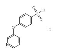 cas no 694471-97-1 is 4-(Pyridin-3-yloxy)benzene-1-sulfonyl chloride hydrochloride