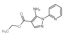 cas no 69722-29-8 is ETHYL5-AMINO-1-(PYRIDIN-2-YL)-1H-PYRAZOLE-4-CARBOXYLATE