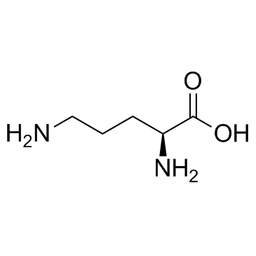 cas no 70-26-8 is L-Ornithine
