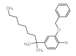 cas no 70120-17-1 is 1-bromo-4-(2-methylnonan-2-yl)-2-phenylmethoxybenzene