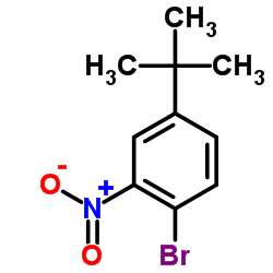 cas no 70729-05-4 is 1-Bromo-4-tert-butyl-2-nitrobenzene