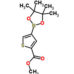 cas no 709648-80-6 is methyl 4-(4,4,5,5-tetramethyl-1,3,2-dioxaborolan-2-yl)thiophene-2-carboxylate