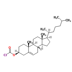 cas no 7144-08-3 is Cholesterol Chloroformate