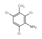 cas no 71642-16-5 is Benzenamine,2,4,6-tribromo-3-methyl-