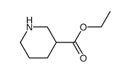cas no 71962-74-8 is ethyl nipecotate