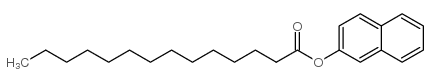 cas no 7262-80-8 is Tetradecanoic acid,2-naphthalenyl ester