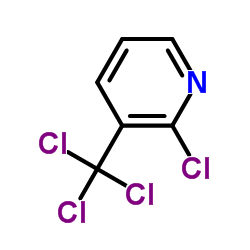 cas no 72648-12-5 is 2-Chloro-3-(trichloromethyl)pyridine