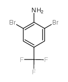 cas no 72678-19-4 is 2,6-dibromo-4-(trifluoromethyl)aniline